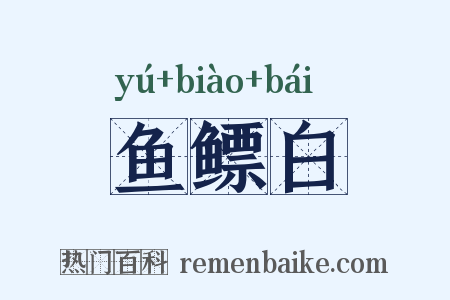 鱼鳔白是什么意思的图片